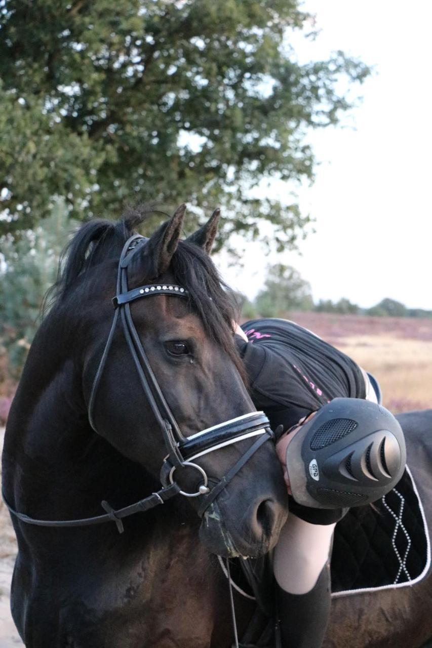 Magnolia Hoeve - Unieke Bestemming Voor Paardenliefhebbers En Bijzondere Overnachtingen In De Natuur Ledeacker Exterior foto
