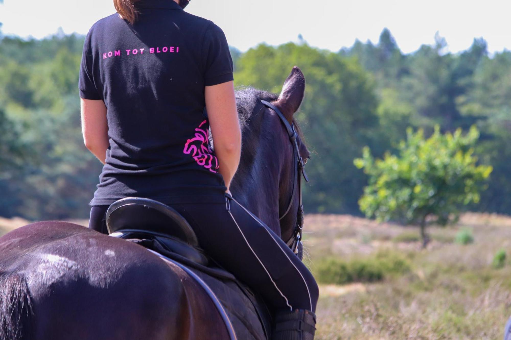 Magnolia Hoeve - Unieke Bestemming Voor Paardenliefhebbers En Bijzondere Overnachtingen In De Natuur Ledeacker Exterior foto