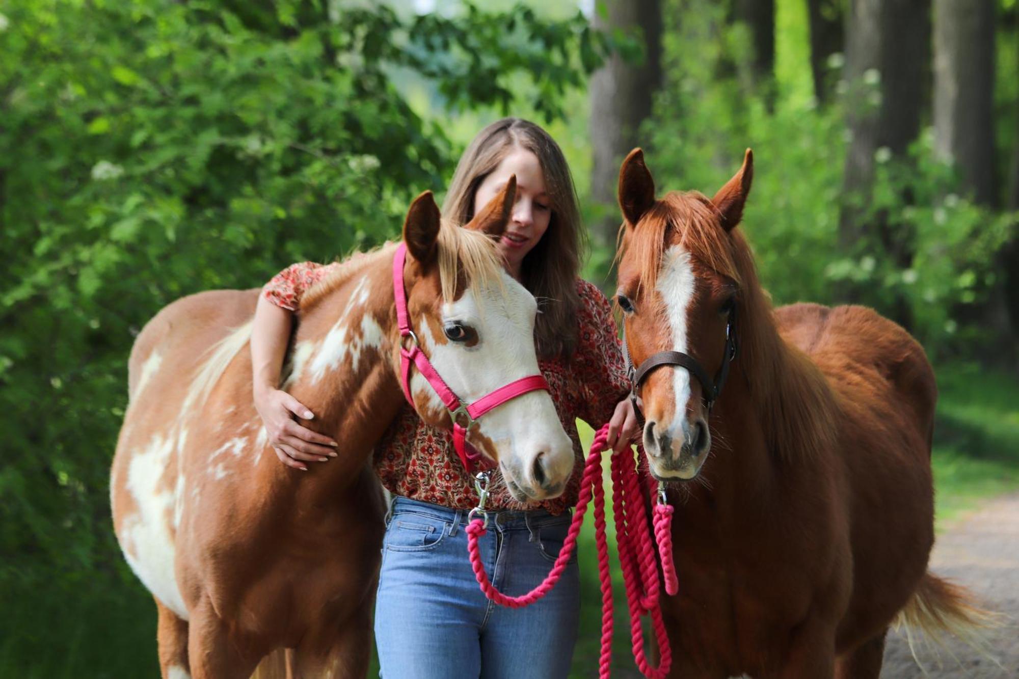 Magnolia Hoeve - Unieke Bestemming Voor Paardenliefhebbers En Bijzondere Overnachtingen In De Natuur Ledeacker Exterior foto