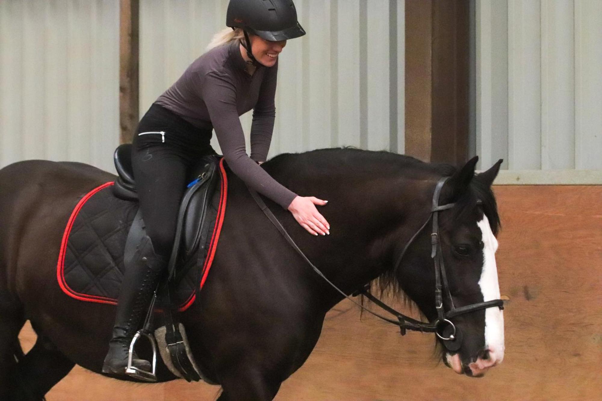 Magnolia Hoeve - Unieke Bestemming Voor Paardenliefhebbers En Bijzondere Overnachtingen In De Natuur Ledeacker Exterior foto