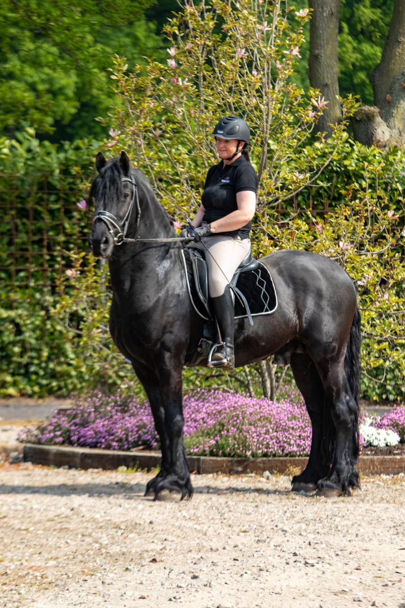 Magnolia Hoeve - Unieke Bestemming Voor Paardenliefhebbers En Bijzondere Overnachtingen In De Natuur Ledeacker Exterior foto