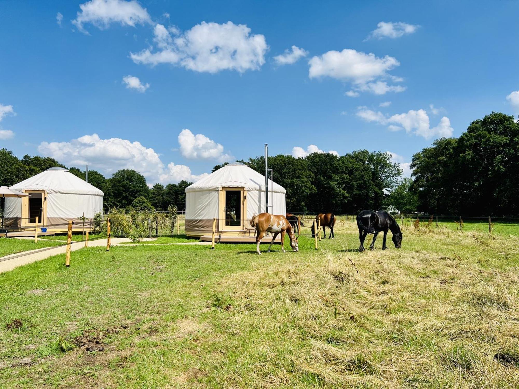 Magnolia Hoeve - Unieke Bestemming Voor Paardenliefhebbers En Bijzondere Overnachtingen In De Natuur Ledeacker Exterior foto