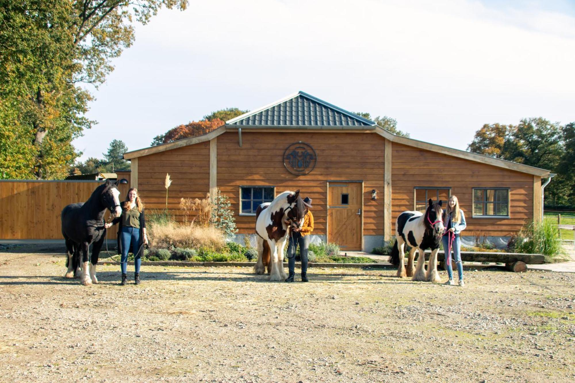 Magnolia Hoeve - Unieke Bestemming Voor Paardenliefhebbers En Bijzondere Overnachtingen In De Natuur Ledeacker Exterior foto