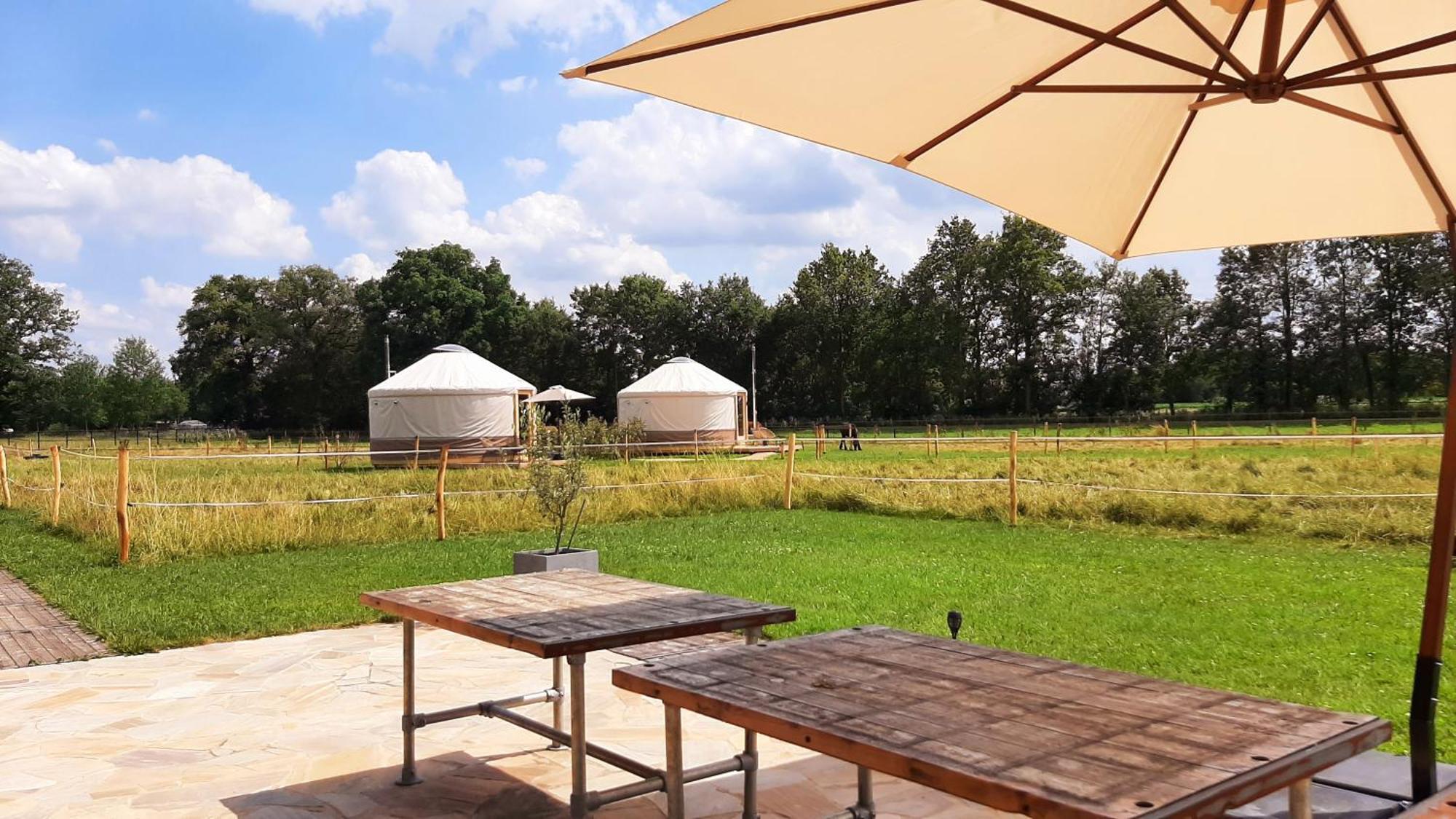 Magnolia Hoeve - Unieke Bestemming Voor Paardenliefhebbers En Bijzondere Overnachtingen In De Natuur Ledeacker Exterior foto