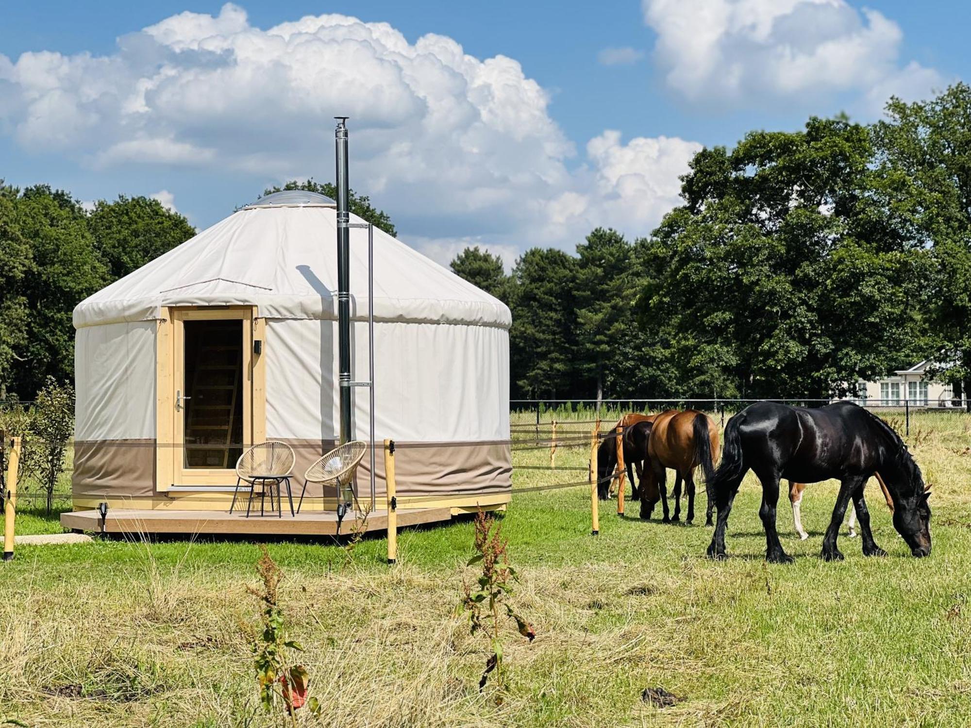 Magnolia Hoeve - Unieke Bestemming Voor Paardenliefhebbers En Bijzondere Overnachtingen In De Natuur Ledeacker Exterior foto
