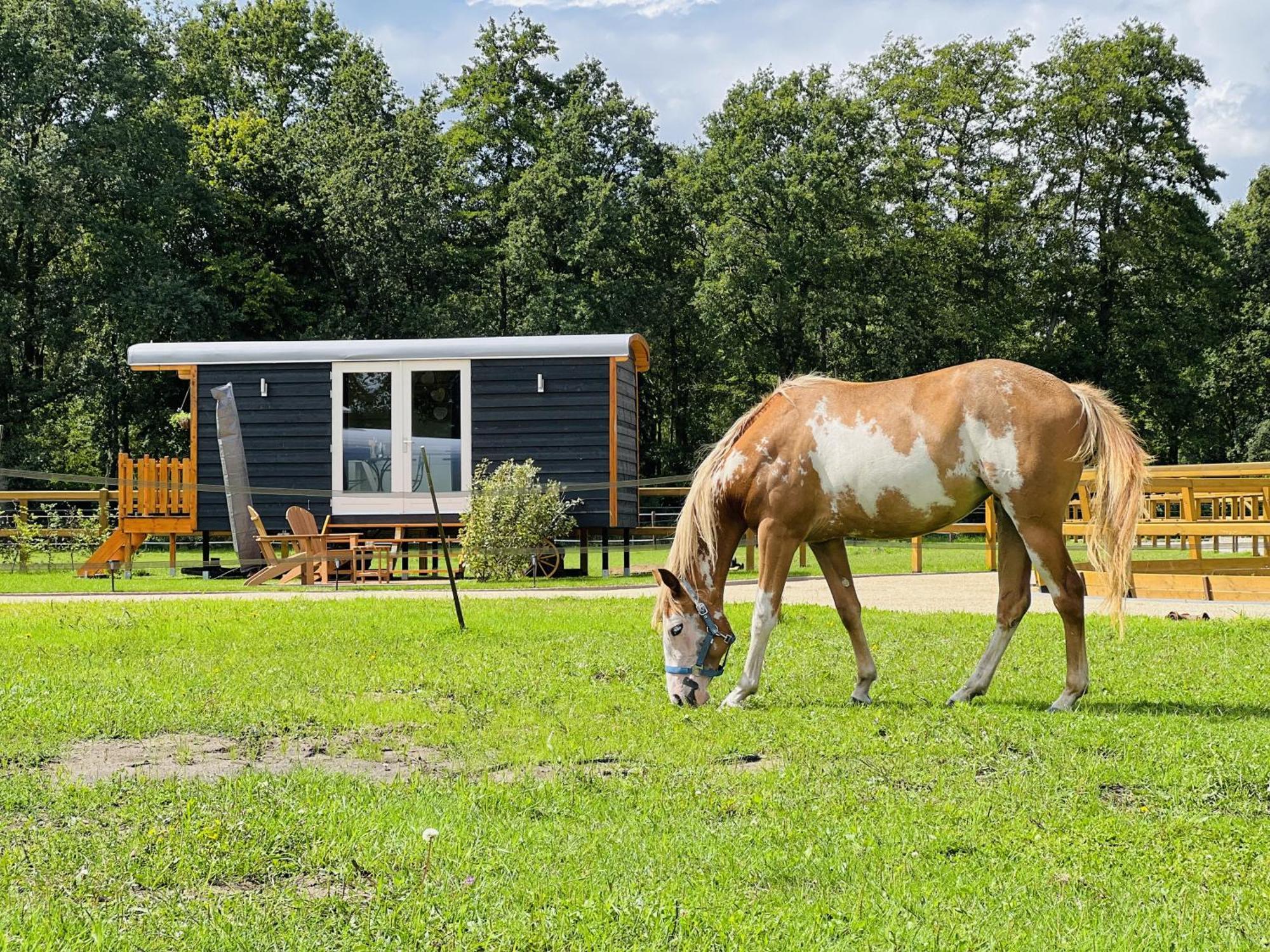 Magnolia Hoeve - Unieke Bestemming Voor Paardenliefhebbers En Bijzondere Overnachtingen In De Natuur Ledeacker Exterior foto
