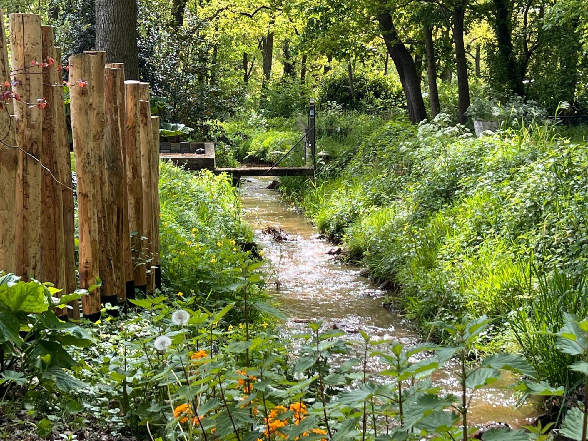 Magnolia Hoeve - Unieke Bestemming Voor Paardenliefhebbers En Bijzondere Overnachtingen In De Natuur Ledeacker Exterior foto